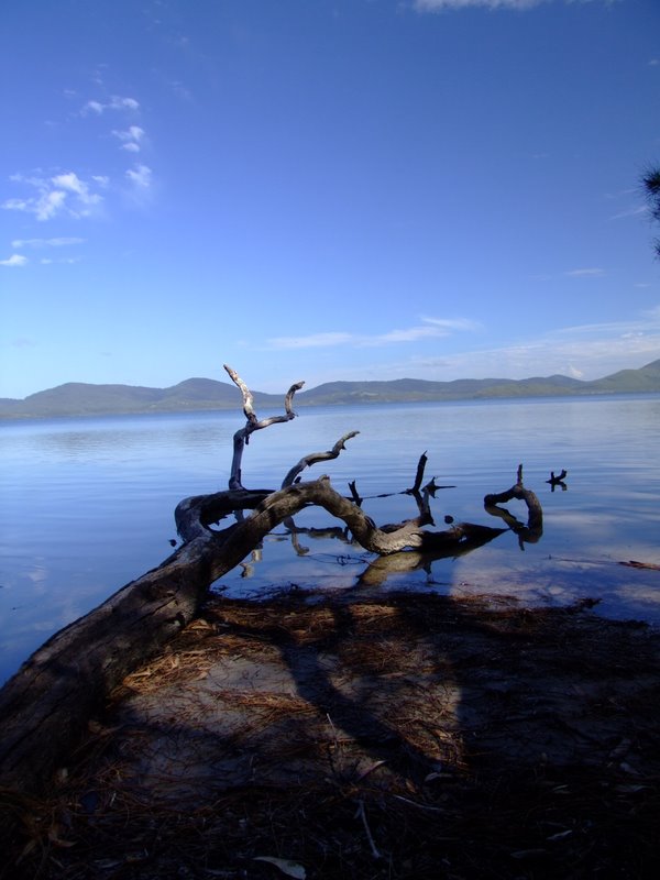Travel - Australia - Dery Pictures Bush Party - The Lake near Forster